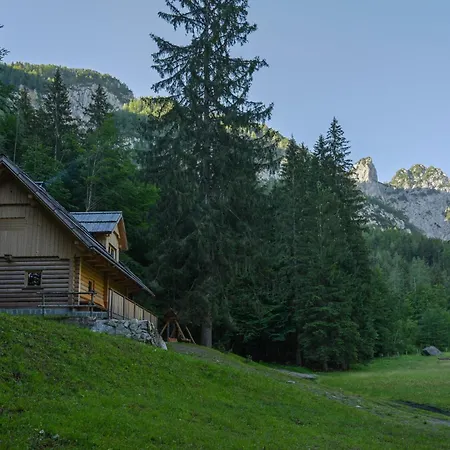 Alpine Loghouse Plansarska Bajta Matkov Kot * Solcava