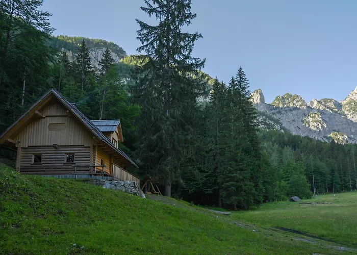 Alpine Loghouse Plansarska Bajta Matkov Kot * Solčava